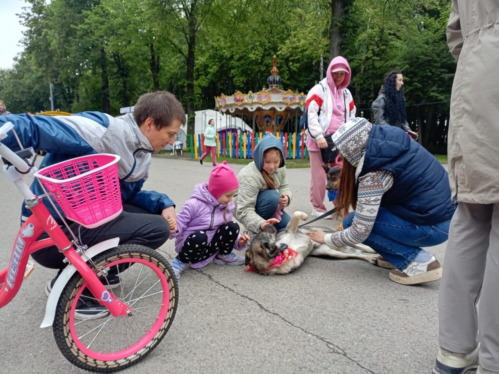 В Рязани прошла традиционная выставка «Пойдём домой», на которой животные обретают хозяев В Рязани прошла традиционная выставка «Пойдём домой», на которой животные обретают хозяев В этот день 14 животных обрели хозяев. Судьбаносная встреча ожидала в том числе корреспонденту 7info.