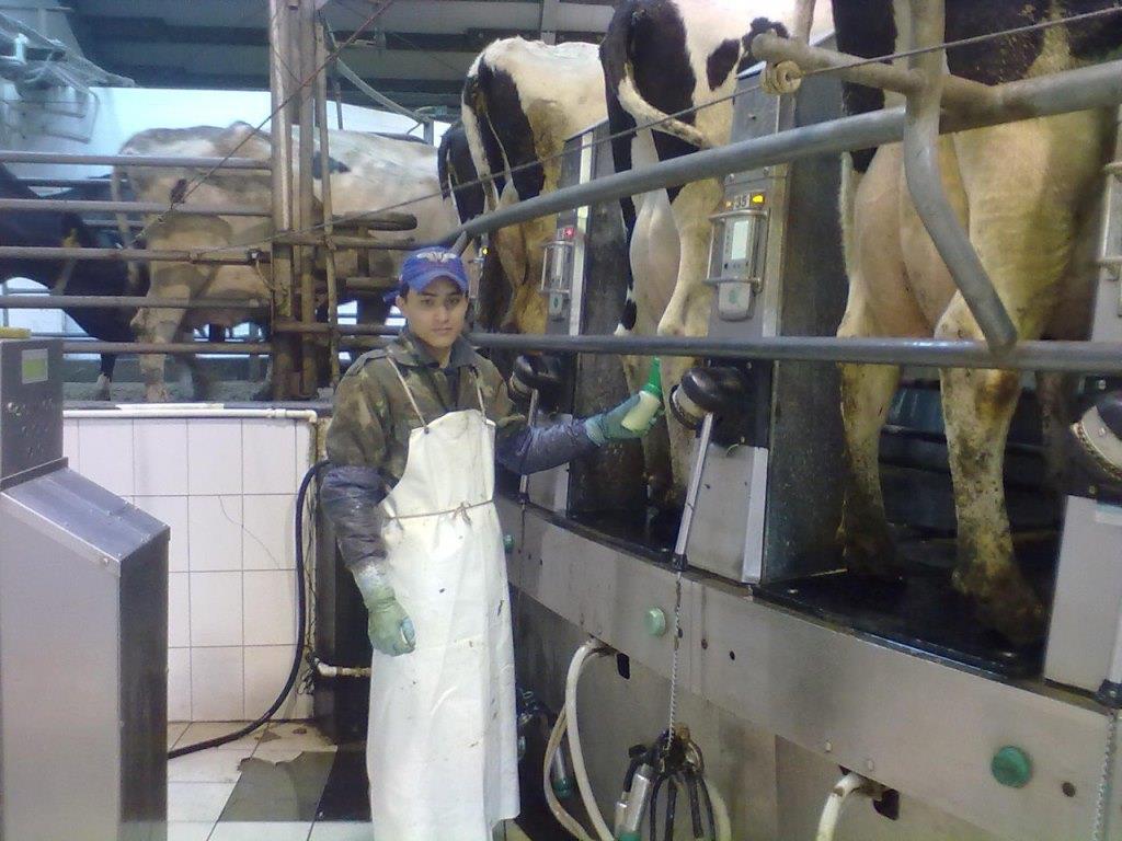 «Успешное хозяйство складывается из четырёх букв «К»: Карим Кулибеков — о том, как работают современные молочные роботизированные фермы «Успешное хозяйство складывается из четырёх букв «К»: Карим Кулибеков — о том, как работают современные молочные роботизированные фермы В его работе роботы и коровы «встречаются» в единой плоскости. Звучит футуристично, однако, это наша реальность!