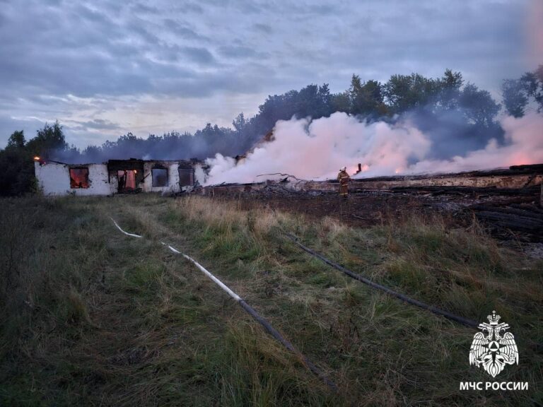 Автомобиль и три здания сгорели в Рязанской области за сутки