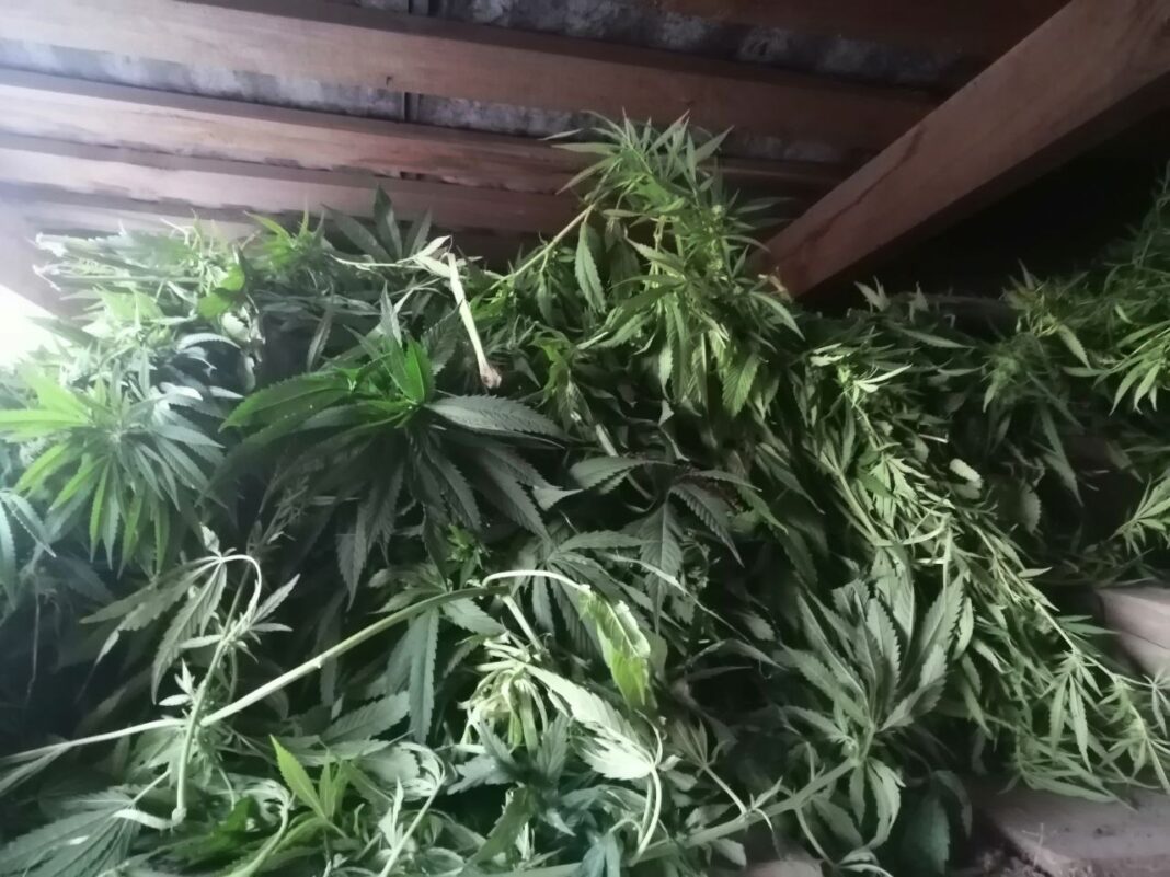 наркотики -min