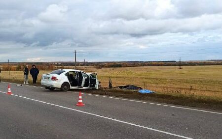 Прокуратура сообщила подробности ДТП, в котором погиб ребёнок и двое взрослых Прокуратура сообщила подробности ДТП, в котором погиб ребёнок и двое взрослых На 60-м километре автодороги Ряжск – Касимов – Нижний Новгород, проходящей через Сапожковский район, произошло столкновение двух легковых автомобилей.