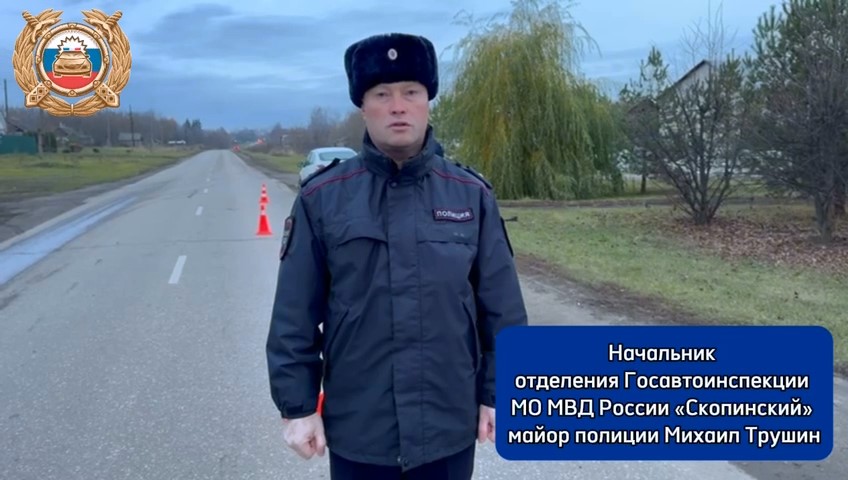 В Скопинском районе легковушка сбила насмерть пешехода