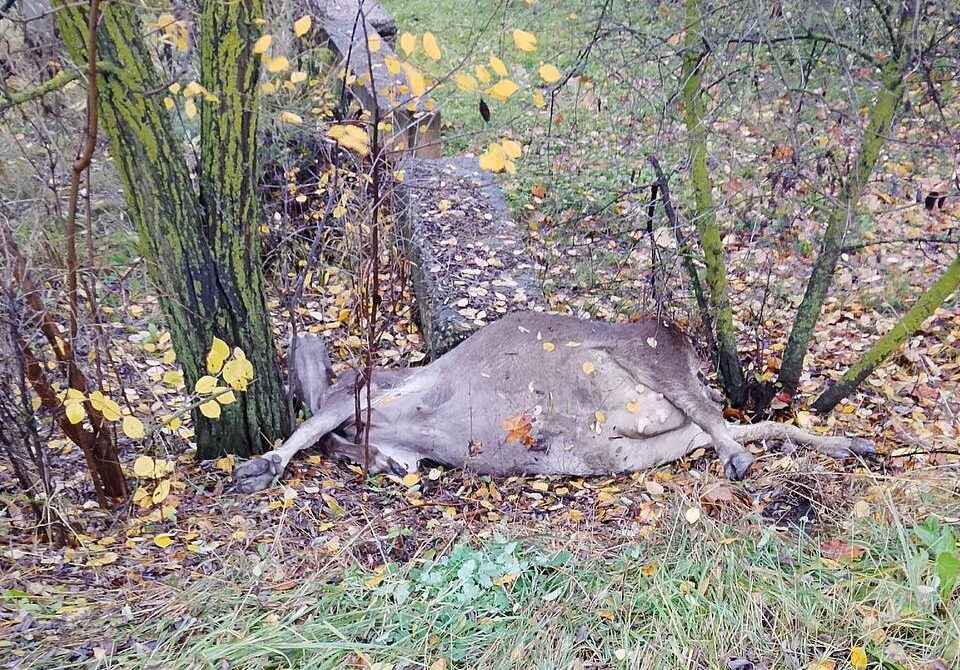 27fefb17-6ea2-44a4-85b1-a7ff58aa05d8