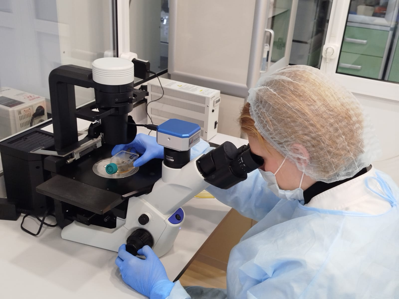 Учёный из Рязани Пелагея Ананьева исследует безопасность лекарственных комбинаций Её получают поддержку на федеральном уровне, но за строгими рамками науки скрывается человек, чья жизнь не умещается в лабораторные протоколы.