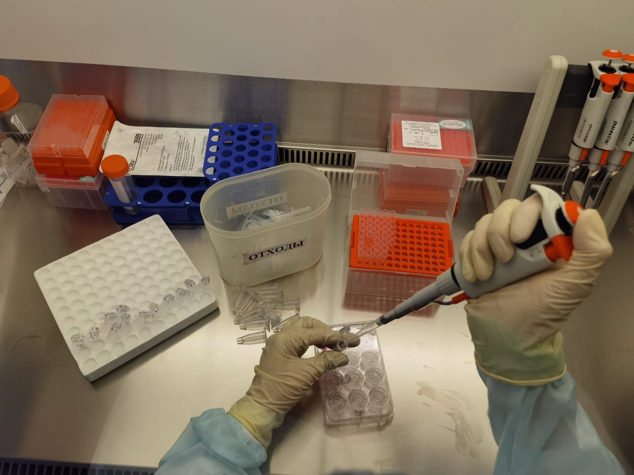 Учёный из Рязани Пелагея Ананьева исследует безопасность лекарственных комбинаций Её получают поддержку на федеральном уровне, но за строгими рамками науки скрывается человек, чья жизнь не умещается в лабораторные протоколы.