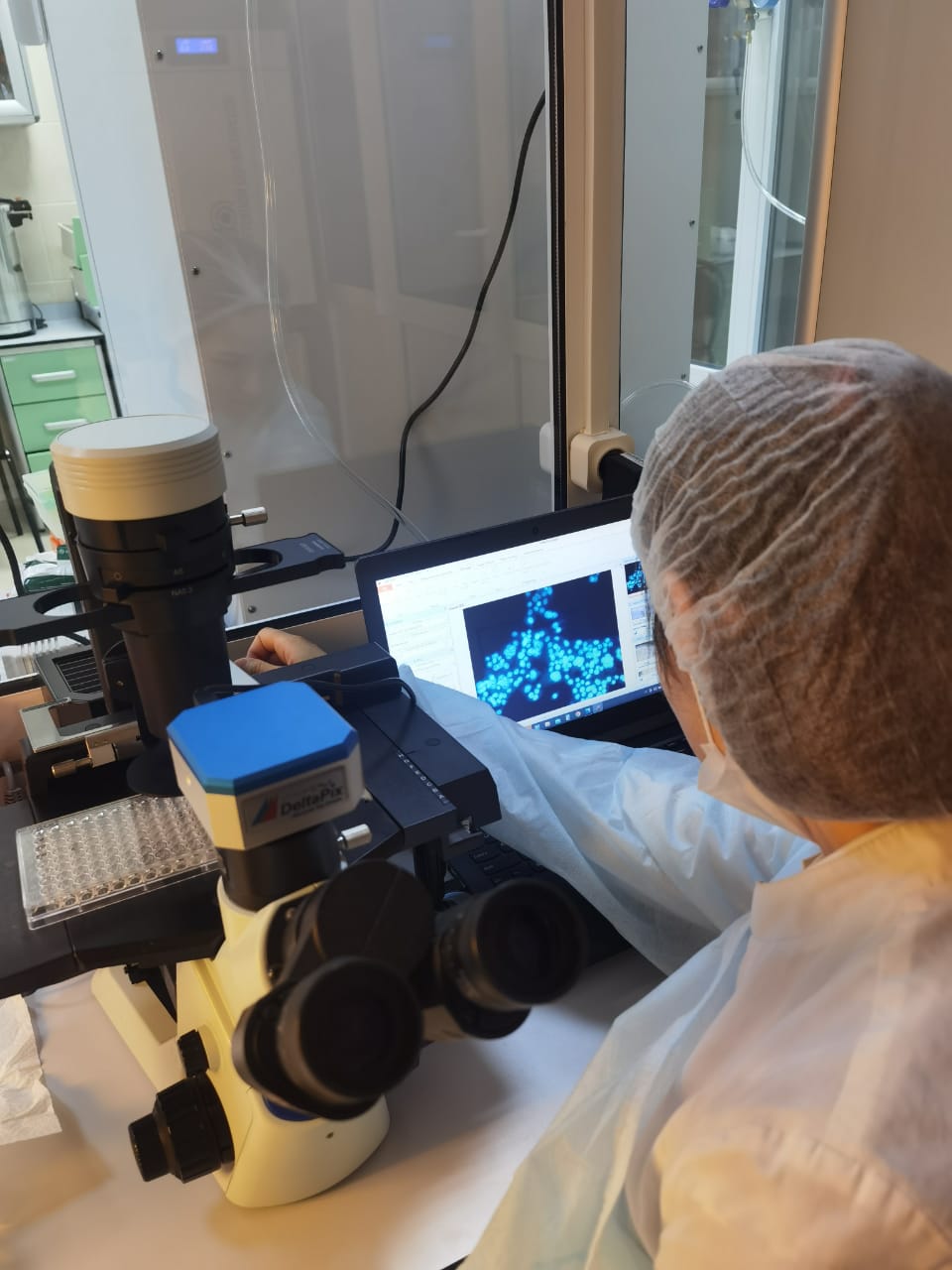 Учёный из Рязани Пелагея Ананьева исследует безопасность лекарственных комбинаций Её получают поддержку на федеральном уровне, но за строгими рамками науки скрывается человек, чья жизнь не умещается в лабораторные протоколы.